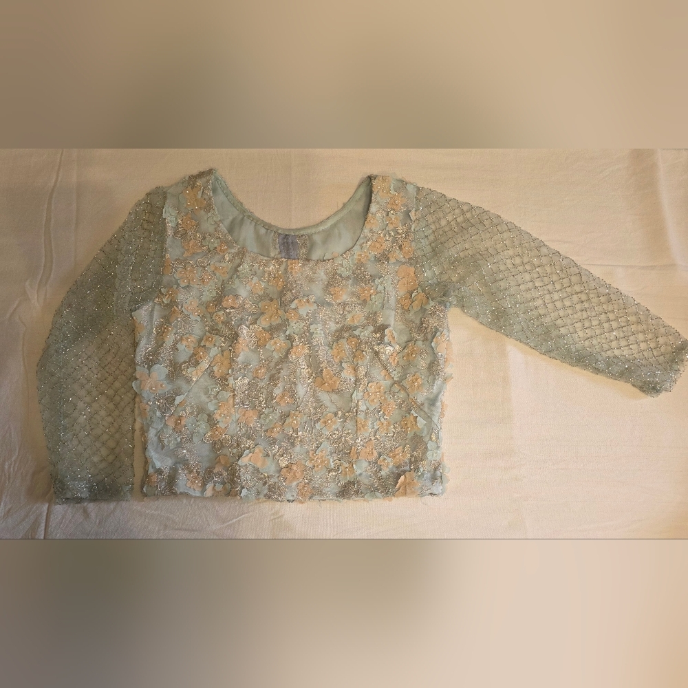 Aqua Blue Embellished Sari - Festive Wear - Indian & Pakistani Wear - Picture 3 of 9